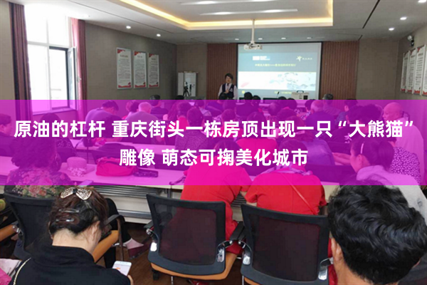原油的杠杆 重庆街头一栋房顶出现一只“大熊猫”雕像 萌态可掬美化城市