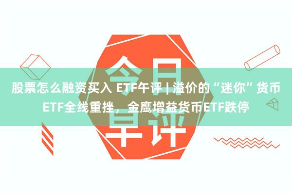 股票怎么融资买入 ETF午评 | 溢价的“迷你”货币ETF全线重挫，金鹰增益货币ETF跌停