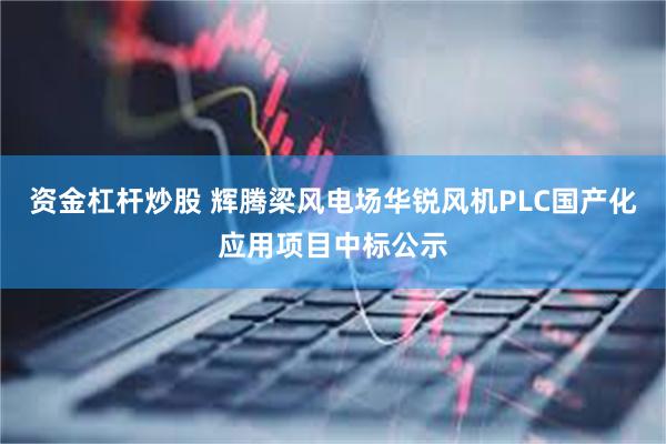 资金杠杆炒股 辉腾梁风电场华锐风机PLC国产化应用项目中标公示