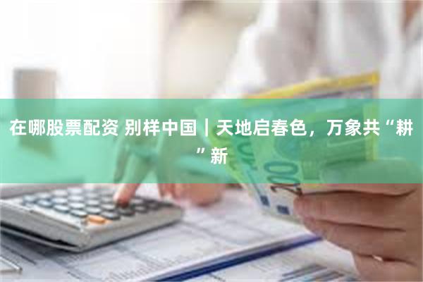 在哪股票配资 别样中国｜天地启春色，万象共“耕”新