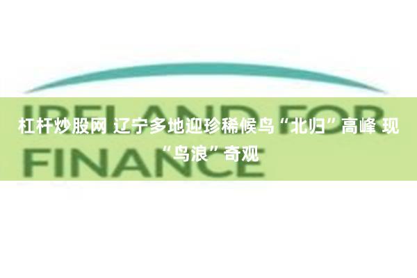 杠杆炒股网 辽宁多地迎珍稀候鸟“北归”高峰 现“鸟浪”奇观