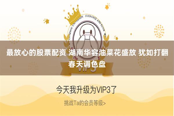 最放心的股票配资 湖南华容油菜花盛放 犹如打翻春天调色盘
