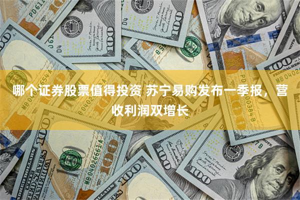 哪个证券股票值得投资 苏宁易购发布一季报，营收利润双增长