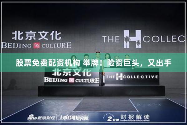 股票免费配资机构 举牌！险资巨头，又出手