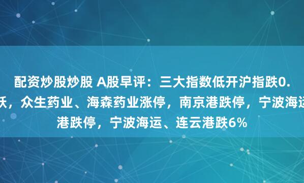 配资炒股炒股 A股早评：三大指数低开沪指跌0.1%，医药股活跃，众生药业、海森药业涨停，南京港跌停，宁波海运、连云港跌6%