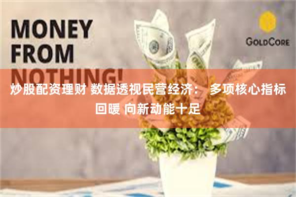 炒股配资理财 数据透视民营经济： 多项核心指标回暖 向新动能十足