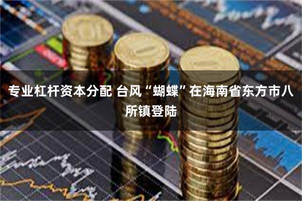 专业杠杆资本分配 台风“蝴蝶”在海南省东方市八所镇登陆