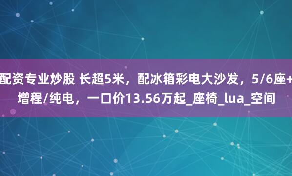 配资专业炒股 长超5米，配冰箱彩电大沙发，5/6座+增程/纯电，一口价13.56万起_座椅_lua_空间