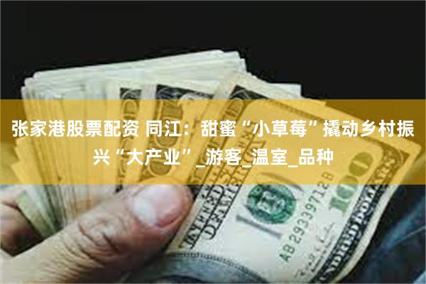 张家港股票配资 同江：甜蜜“小草莓”撬动乡村振兴“大产业”_游客_温室_品种