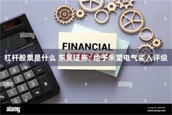 杠杆股票是什么 东吴证券: 给予禾望电气买入评级