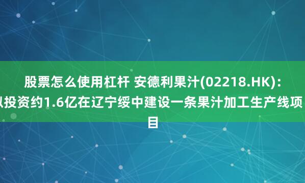 股票怎么使用杠杆 安德利果汁(02218.HK)：拟投资约1.6亿在辽宁绥中建设一条果汁加工生产线项目