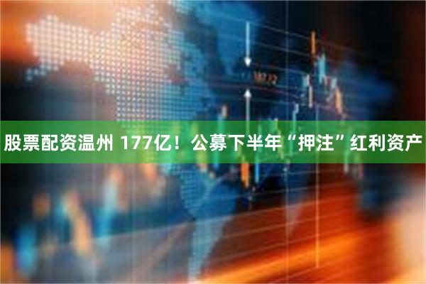 股票配资温州 177亿!公募下半年“押注”红利资产