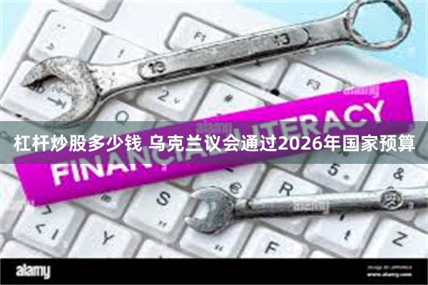 杠杆炒股多少钱 乌克兰议会通过2026年国家预算