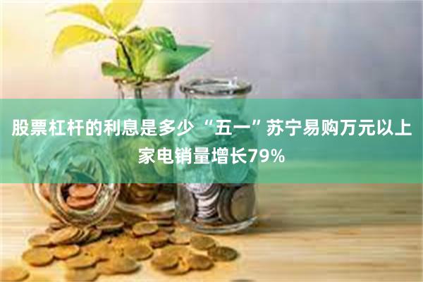 股票杠杆的利息是多少 “五一”苏宁易购万元以上家电销量增长79%